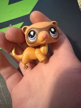Ferret lps